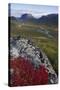 View Along Rapadalen Valley Towards Tjahkkelij, with Nammatj Mountain, Sarek Np, Sweden-Cairns-Stretched Canvas