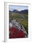 View Along Rapadalen Valley Towards Tjahkkelij, with Nammatj Mountain, Sarek Np, Sweden-Cairns-Framed Premium Photographic Print