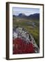 View Along Rapadalen Valley Towards Tjahkkelij, with Nammatj Mountain, Sarek Np, Sweden-Cairns-Framed Premium Photographic Print