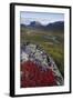 View Along Rapadalen Valley Towards Tjahkkelij, with Nammatj Mountain, Sarek Np, Sweden-Cairns-Framed Premium Photographic Print