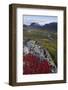 View Along Rapadalen Valley Towards Tjahkkelij, with Nammatj Mountain, Sarek Np, Sweden-Cairns-Framed Photographic Print