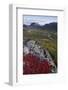 View Along Rapadalen Valley Towards Tjahkkelij, with Nammatj Mountain, Sarek Np, Sweden-Cairns-Framed Photographic Print