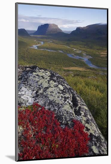 View Along Rapadalen Valley Towards Tjahkkelij, with Nammatj Mountain, Sarek Np, Sweden-Cairns-Mounted Photographic Print