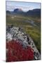 View Along Rapadalen Valley Towards Tjahkkelij, with Nammatj Mountain, Sarek Np, Sweden-Cairns-Mounted Photographic Print