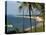 View Along Sinquerim Beach, Fort Aguada, Goa, India, Asia-Stuart Black-Stretched Canvas