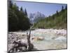 View Along Stony Shallow River Velika Pisnca to Prisank Mountain, Dolina, Slovenia-Pearl Bucknell-Mounted Photographic Print