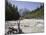 View Along Stony Shallow River Velika Pisnca to Prisank Mountain, Dolina, Slovenia-Pearl Bucknell-Mounted Photographic Print