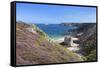 View Along the Cliffs of Cap Frehel to the Lighthouse, Cotes D'Armor, Brittany, France, Europe-Markus Lange-Framed Stretched Canvas