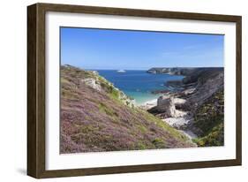 View Along the Cliffs of Cap Frehel to the Lighthouse, Cotes D'Armor, Brittany, France, Europe-Markus Lange-Framed Photographic Print