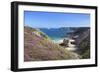 View Along the Cliffs of Cap Frehel to the Lighthouse, Cotes D'Armor, Brittany, France, Europe-Markus Lange-Framed Photographic Print