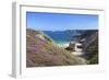 View Along the Cliffs of Cap Frehel to the Lighthouse, Cotes D'Armor, Brittany, France, Europe-Markus Lange-Framed Photographic Print