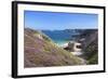 View Along the Cliffs of Cap Frehel to the Lighthouse, Cotes D'Armor, Brittany, France, Europe-Markus Lange-Framed Photographic Print