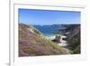 View Along the Cliffs of Cap Frehel to the Lighthouse, Cotes D'Armor, Brittany, France, Europe-Markus Lange-Framed Photographic Print