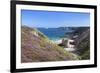 View Along the Cliffs of Cap Frehel to the Lighthouse, Cotes D'Armor, Brittany, France, Europe-Markus Lange-Framed Photographic Print