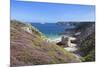 View Along the Cliffs of Cap Frehel to the Lighthouse, Cotes D'Armor, Brittany, France, Europe-Markus Lange-Mounted Photographic Print