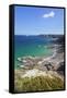 View Along the Cliffs of Cap Frehel to the Lighthouse, Cotes D'Armor, Brittany, France, Europe-Markus Lange-Framed Stretched Canvas