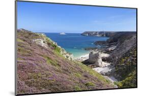 View Along the Cliffs of Cap Frehel to the Lighthouse, Cotes D'Armor, Brittany, France, Europe-Markus Lange-Mounted Photographic Print