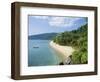 View Along the Coast, Nazri's Beach and Rainforest, Air Batang Bay, Pahang, Malaysia-Jack Jackson-Framed Photographic Print