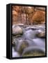 View Along the Hike Through the Zion Narrows in Southern Utah's Zion National Park-Kyle Hammons-Framed Stretched Canvas