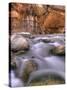 View Along the Hike Through the Zion Narrows in Southern Utah's Zion National Park-Kyle Hammons-Stretched Canvas