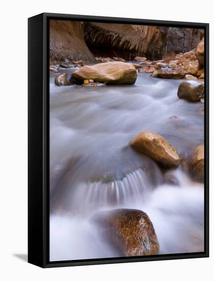 View Along the Hike Through the Zion Narrows in Southern Utah's Zion National Park-Kyle Hammons-Framed Stretched Canvas