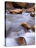 View Along the Hike Through the Zion Narrows in Southern Utah's Zion National Park-Kyle Hammons-Stretched Canvas