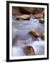 View Along the Hike Through the Zion Narrows in Southern Utah's Zion National Park-Kyle Hammons-Framed Premium Photographic Print