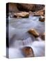 View Along the Hike Through the Zion Narrows in Southern Utah's Zion National Park-Kyle Hammons-Stretched Canvas