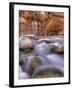 View Along the Hike Through the Zion Narrows in Southern Utah's Zion National Park-Kyle Hammons-Framed Photographic Print