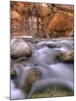 View Along the Hike Through the Zion Narrows in Southern Utah's Zion National Park-Kyle Hammons-Mounted Photographic Print