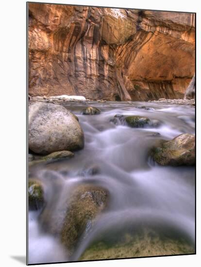 View Along the Hike Through the Zion Narrows in Southern Utah's Zion National Park-Kyle Hammons-Mounted Photographic Print