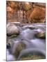 View Along the Hike Through the Zion Narrows in Southern Utah's Zion National Park-Kyle Hammons-Mounted Photographic Print