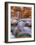 View Along the Hike Through the Zion Narrows in Southern Utah's Zion National Park-Kyle Hammons-Framed Photographic Print