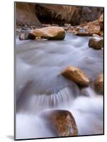 View Along the Hike Through the Zion Narrows in Southern Utah's Zion National Park-Kyle Hammons-Mounted Photographic Print
