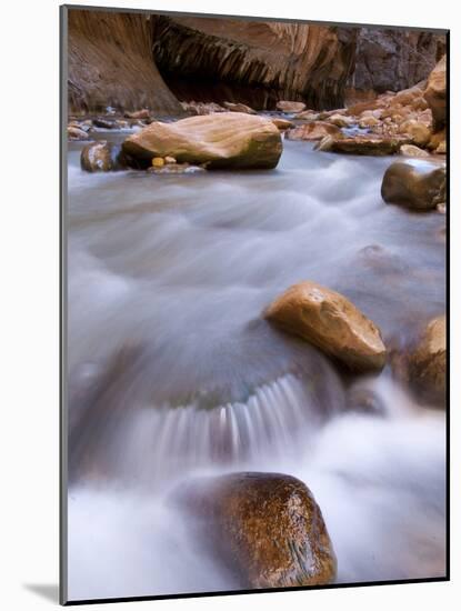 View Along the Hike Through the Zion Narrows in Southern Utah's Zion National Park-Kyle Hammons-Mounted Photographic Print