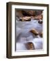 View Along the Hike Through the Zion Narrows in Southern Utah's Zion National Park-Kyle Hammons-Framed Photographic Print