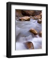 View Along the Hike Through the Zion Narrows in Southern Utah's Zion National Park-Kyle Hammons-Framed Photographic Print