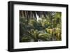 View along the palm-fringed Avon River in Christchurch Botanic Gardens, Christchurch, Canterbury, S-Ruth Tomlinson-Framed Premium Photographic Print