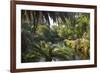 View along the palm-fringed Avon River in Christchurch Botanic Gardens, Christchurch, Canterbury, S-Ruth Tomlinson-Framed Photographic Print