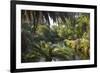 View along the palm-fringed Avon River in Christchurch Botanic Gardens, Christchurch, Canterbury, S-Ruth Tomlinson-Framed Photographic Print