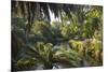 View along the palm-fringed Avon River in Christchurch Botanic Gardens, Christchurch, Canterbury, S-Ruth Tomlinson-Mounted Photographic Print