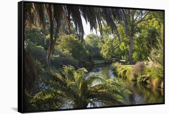 View along the palm-fringed Avon River in Christchurch Botanic Gardens, Christchurch, Canterbury, S-Ruth Tomlinson-Framed Stretched Canvas