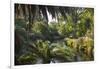 View along the palm-fringed Avon River in Christchurch Botanic Gardens, Christchurch, Canterbury, S-Ruth Tomlinson-Framed Photographic Print