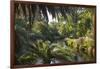 View along the palm-fringed Avon River in Christchurch Botanic Gardens, Christchurch, Canterbury, S-Ruth Tomlinson-Framed Photographic Print