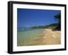 View Along the Plage Notre Dame, Ile De Porquerolles, Var, Cote D'Azur, Provence, France-Tomlinson Ruth-Framed Photographic Print