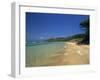 View Along the Plage Notre Dame, Ile De Porquerolles, Var, Cote D'Azur, Provence, France-Tomlinson Ruth-Framed Photographic Print