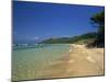 View Along the Plage Notre Dame, Ile De Porquerolles, Var, Cote D'Azur, Provence, France-Tomlinson Ruth-Mounted Photographic Print