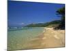 View Along the Plage Notre Dame, Ile De Porquerolles, Var, Cote D'Azur, Provence, France-Tomlinson Ruth-Mounted Photographic Print