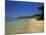 View Along the Plage Notre Dame, Ile De Porquerolles, Var, Cote D'Azur, Provence, France-Tomlinson Ruth-Mounted Photographic Print