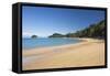 View along the sandy beach at Towers Bay, Kaiteriteri, Tasman, South Island, New Zealand, Pacific-Ruth Tomlinson-Framed Stretched Canvas